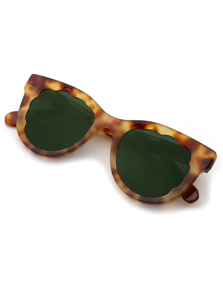 Overhead view of Krewe's ellie in hawksbill.