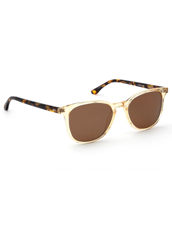 Front angle view of Krewe's olivier | champagne + rue tortoise polarized.