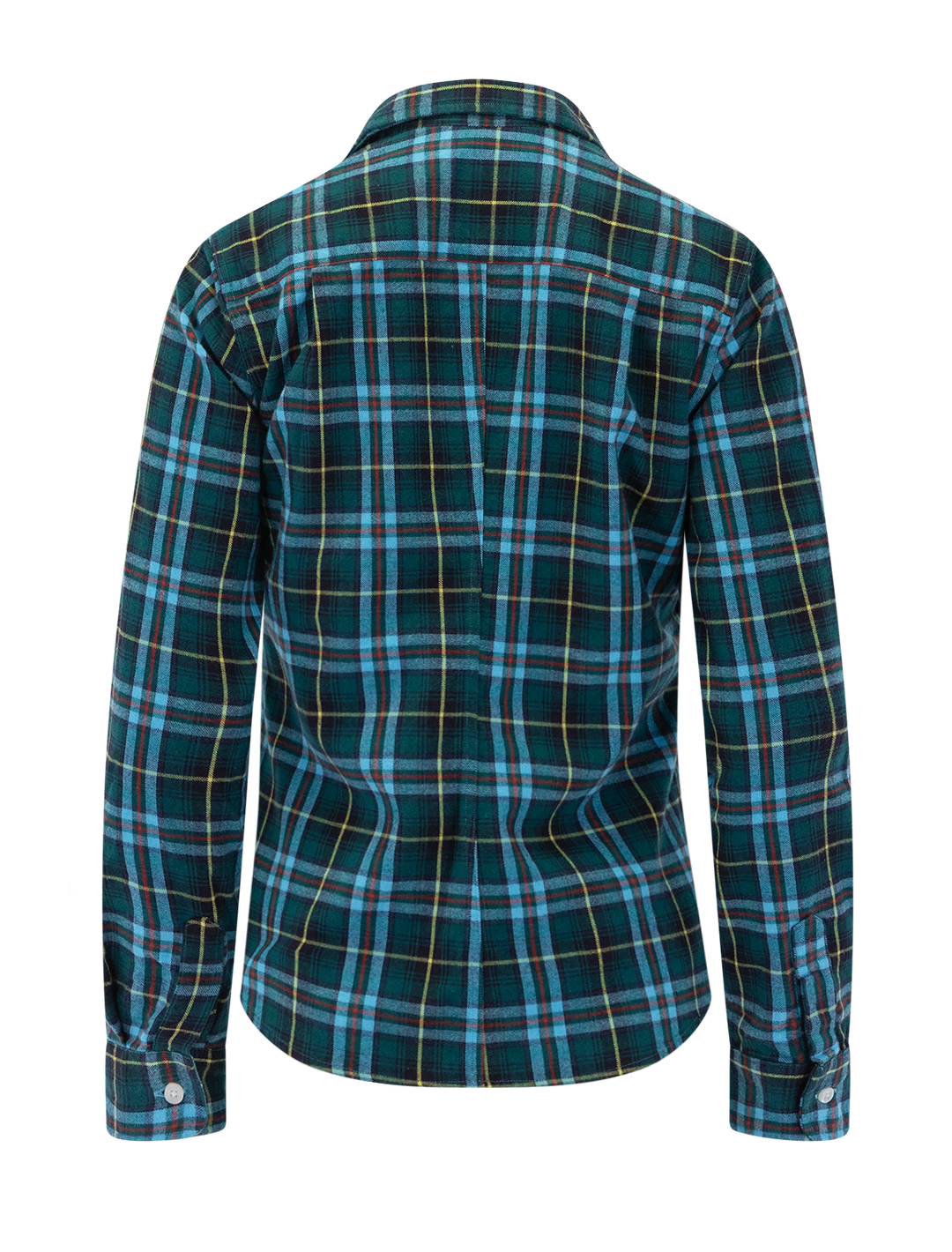 barry in green, blue, yellow and red plaid