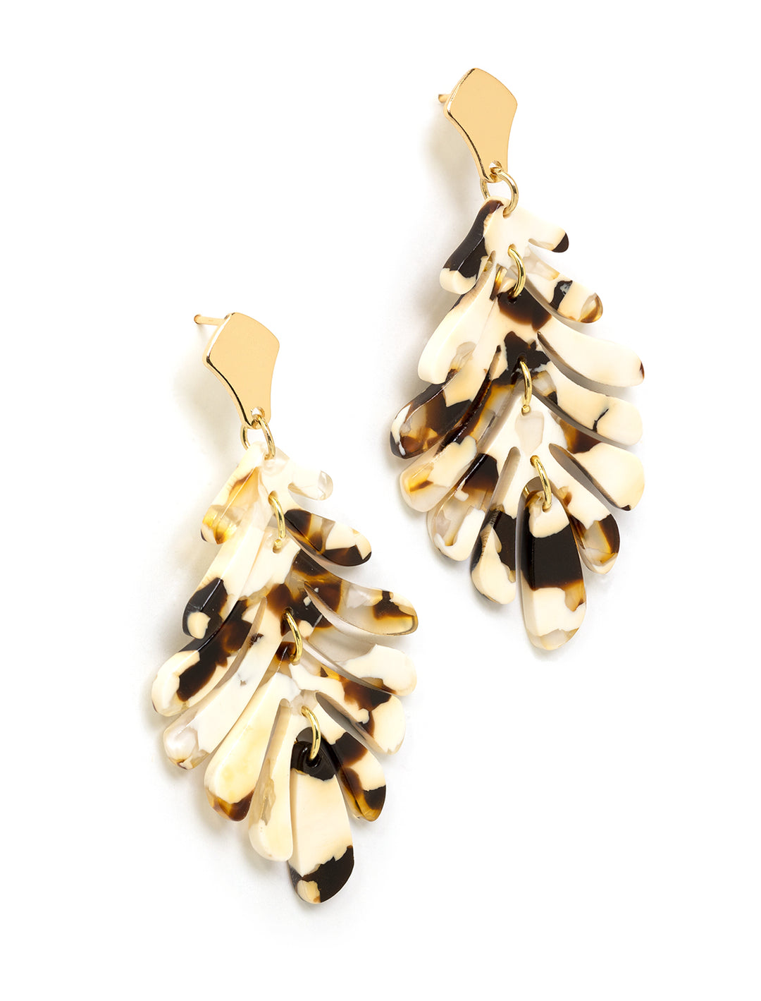 Stylized laydown of St. Armands' cocoa petite palm earrings.