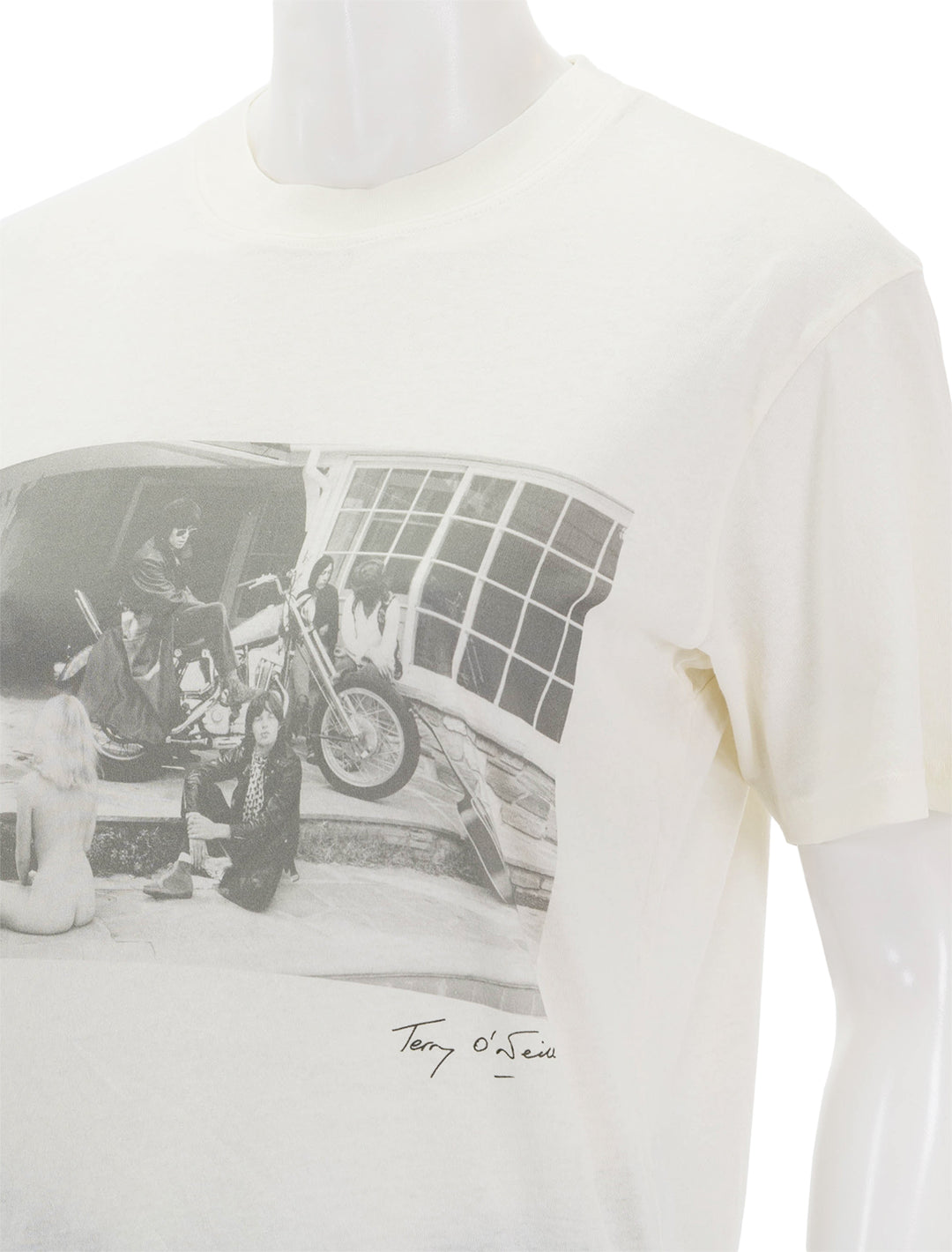 Close-up view of Anine Bing's lili tee vintage rolling stones.