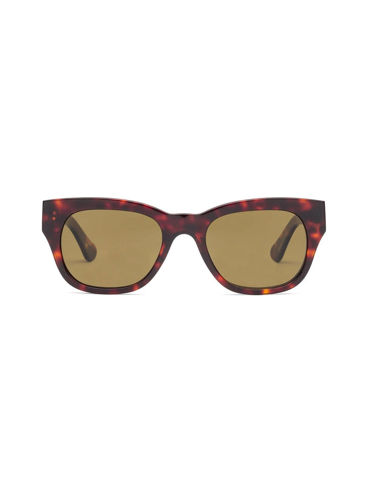 Front view of Caddis' miklos sunglass progressives in turtle and bronze.