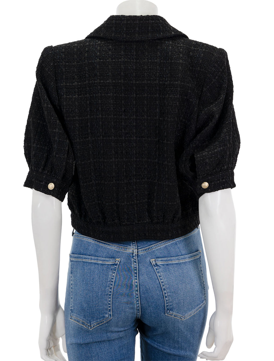 back view of cove crop short sleeve jacket in black
