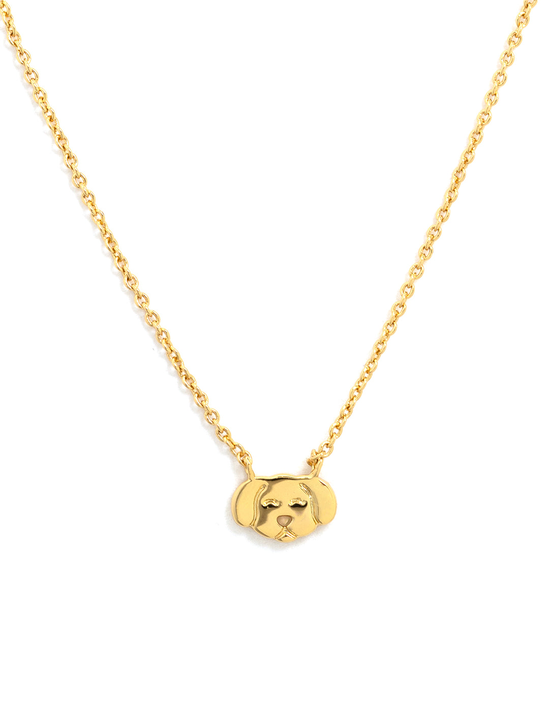 Front view of Tai's dog necklace in gold.