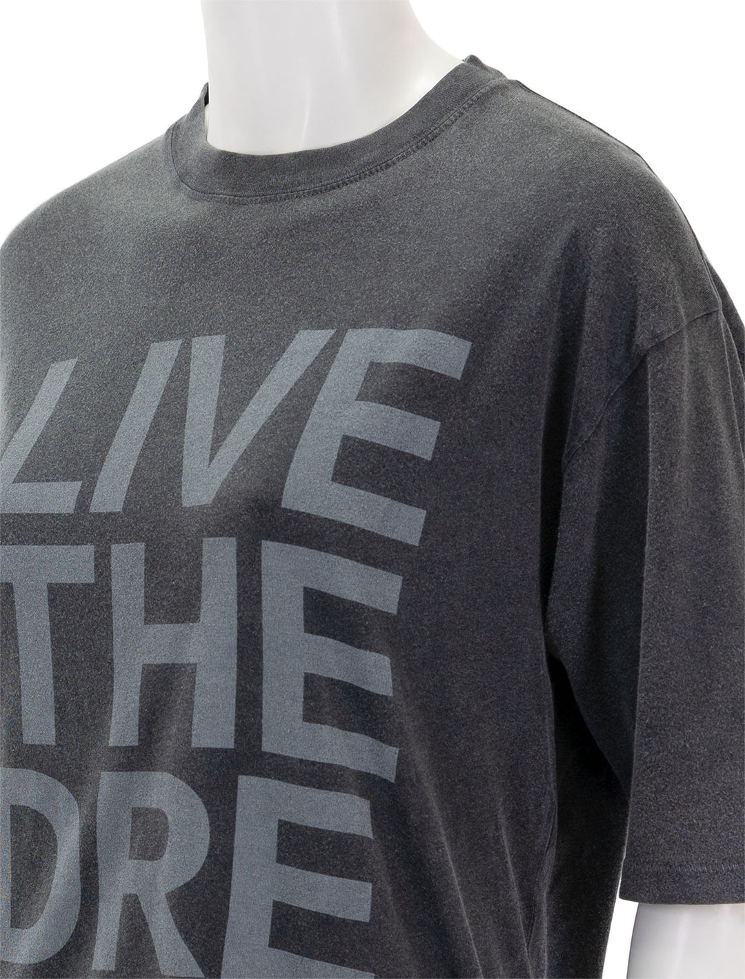 Close-up view of Anine Bing's cason tee live the dream.