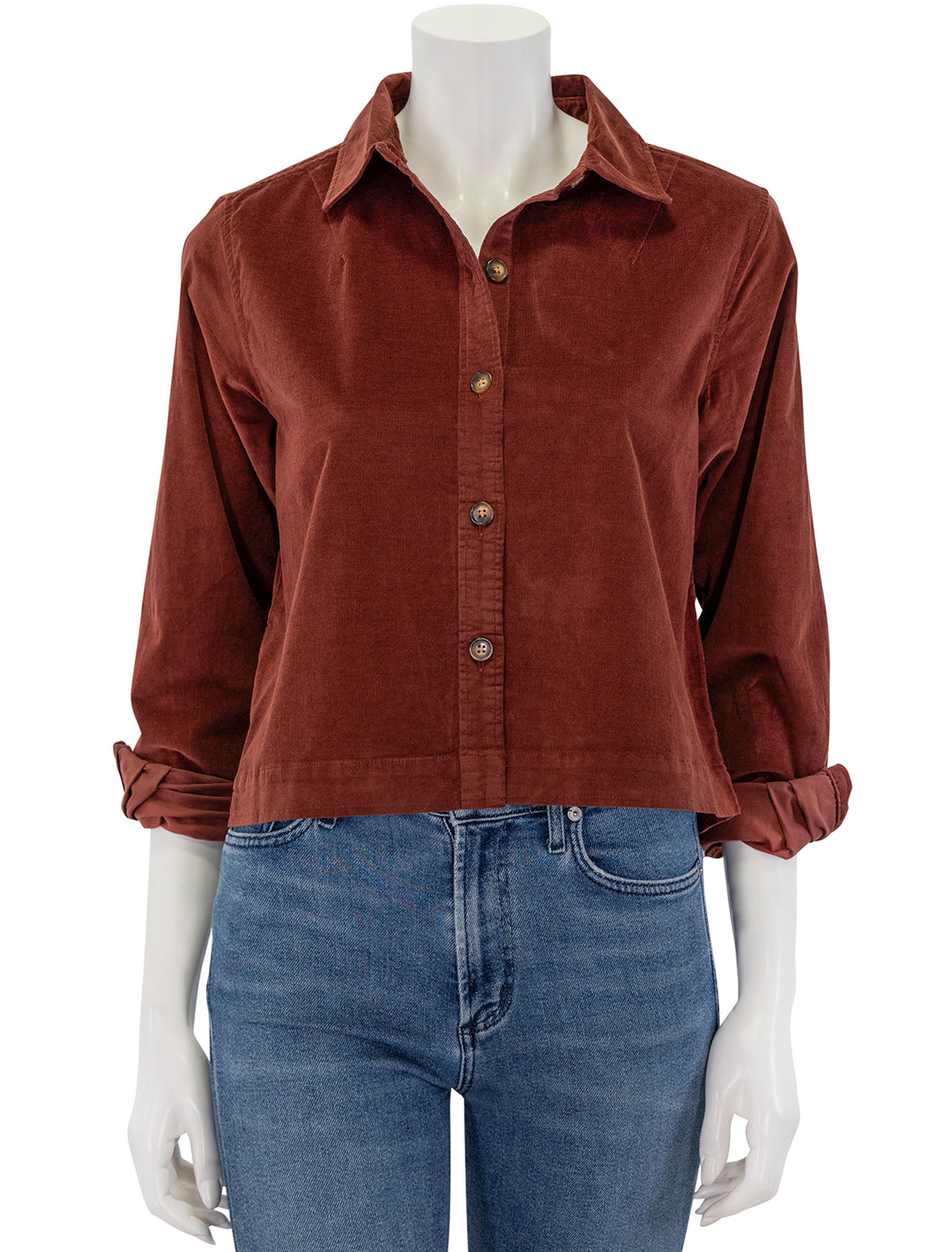 Front view of Lilla P.'s corduroy button down shirt in brandy.