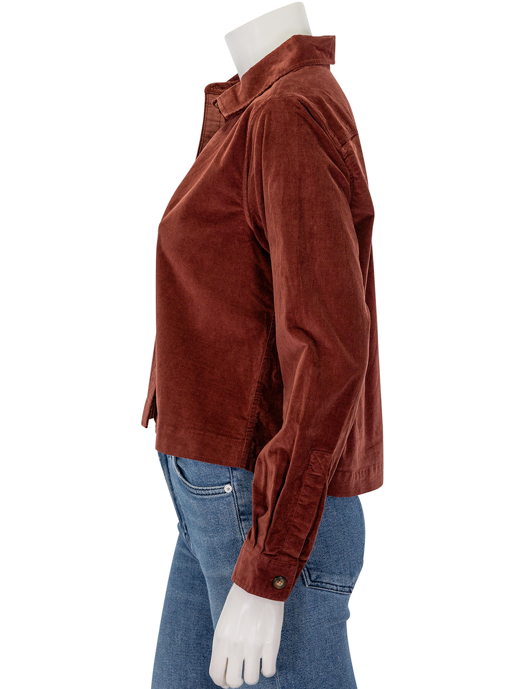 Side view of Lilla P.'s corduroy button down shirt in brandy.