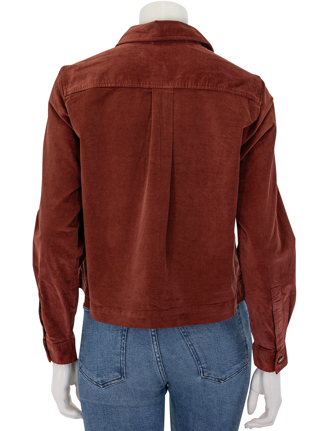 Back view of Lilla P.'s corduroy button down shirt in brandy.