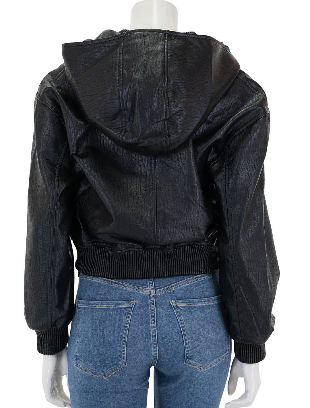 Back view of Steve Madden's Zephyra Jacket in Black.