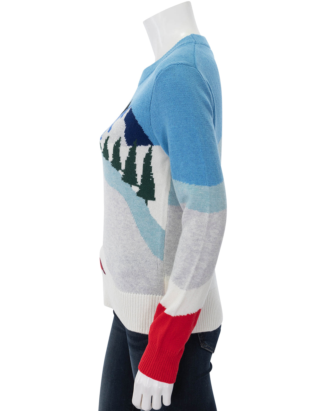 mountain coaster sweater