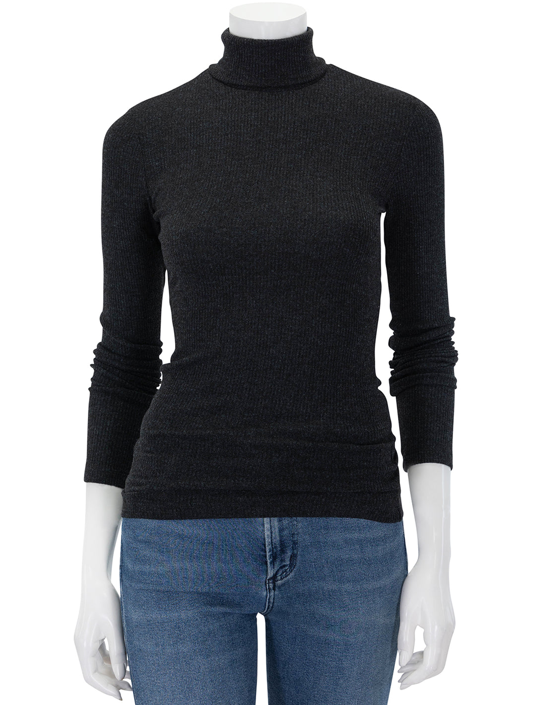 Front view of AGOLDE's pascale turtleneck in katniss.