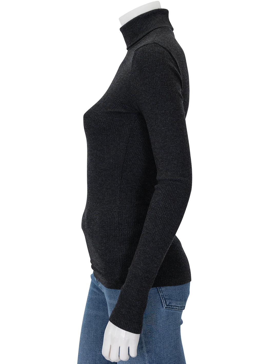 Side view of AGOLDE's pascale turtleneck in katniss.