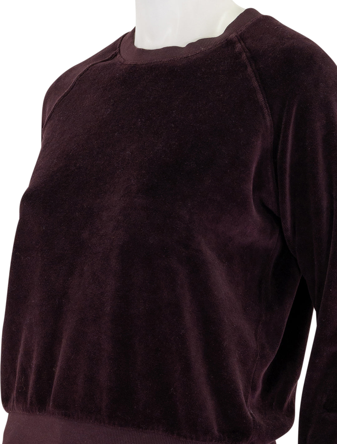 stella velour sweatshirt in blackberry