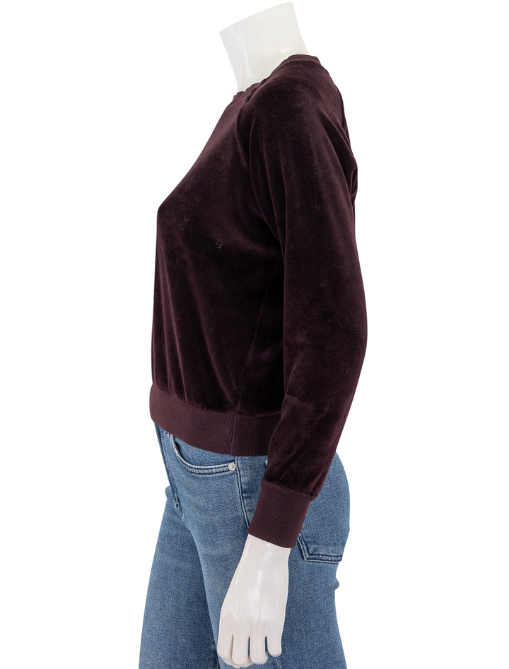 stella velour sweatshirt in blackberry