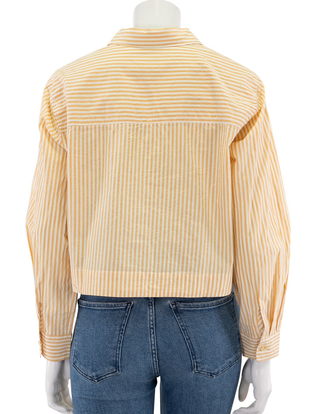 cali poplin cropped shirt in marigold stripe