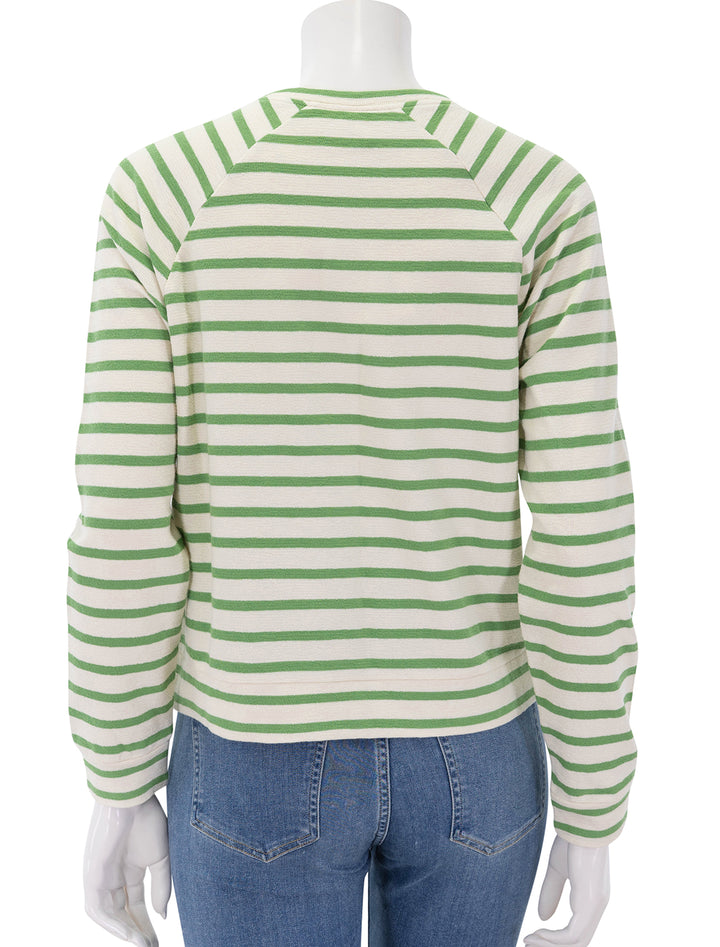 the eco cotton franny pullover in avocado stripe