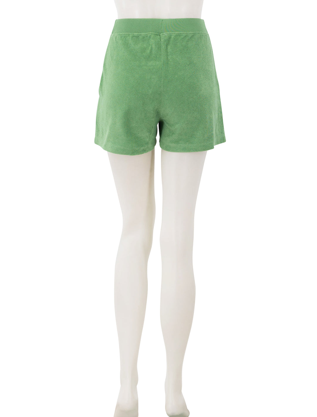 the terry venus shorts in avocado