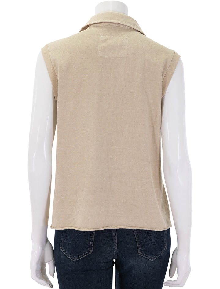 popover collar tank in desert