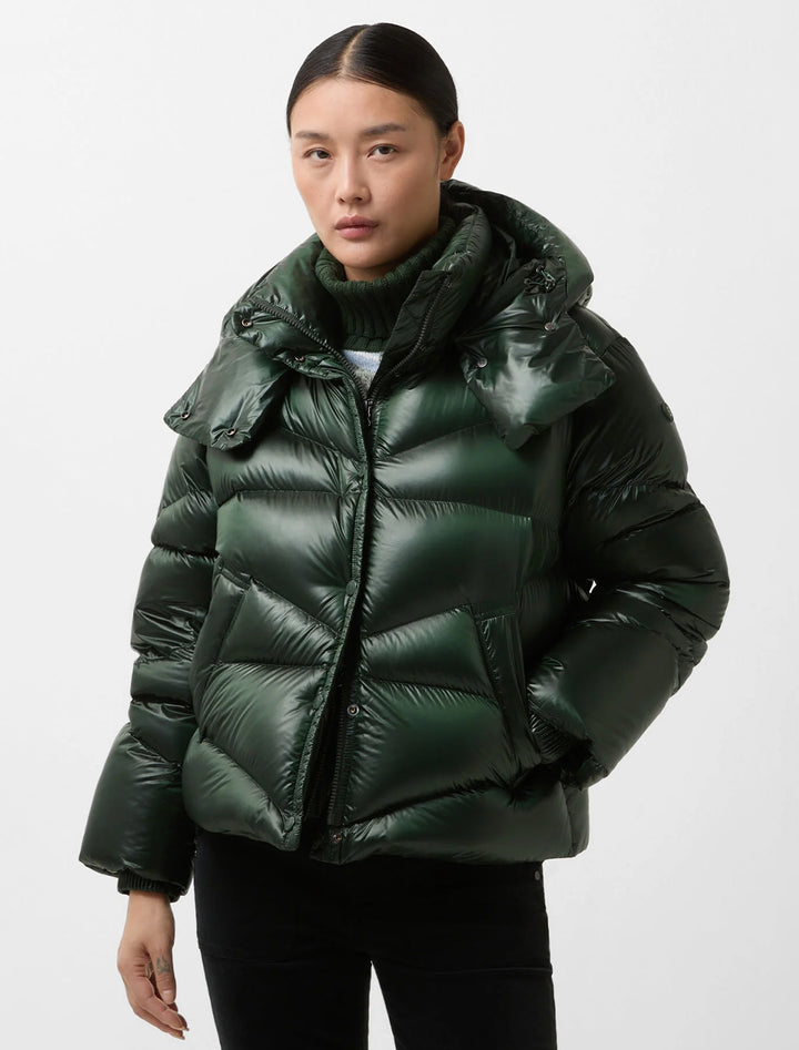 xally coat in pine green