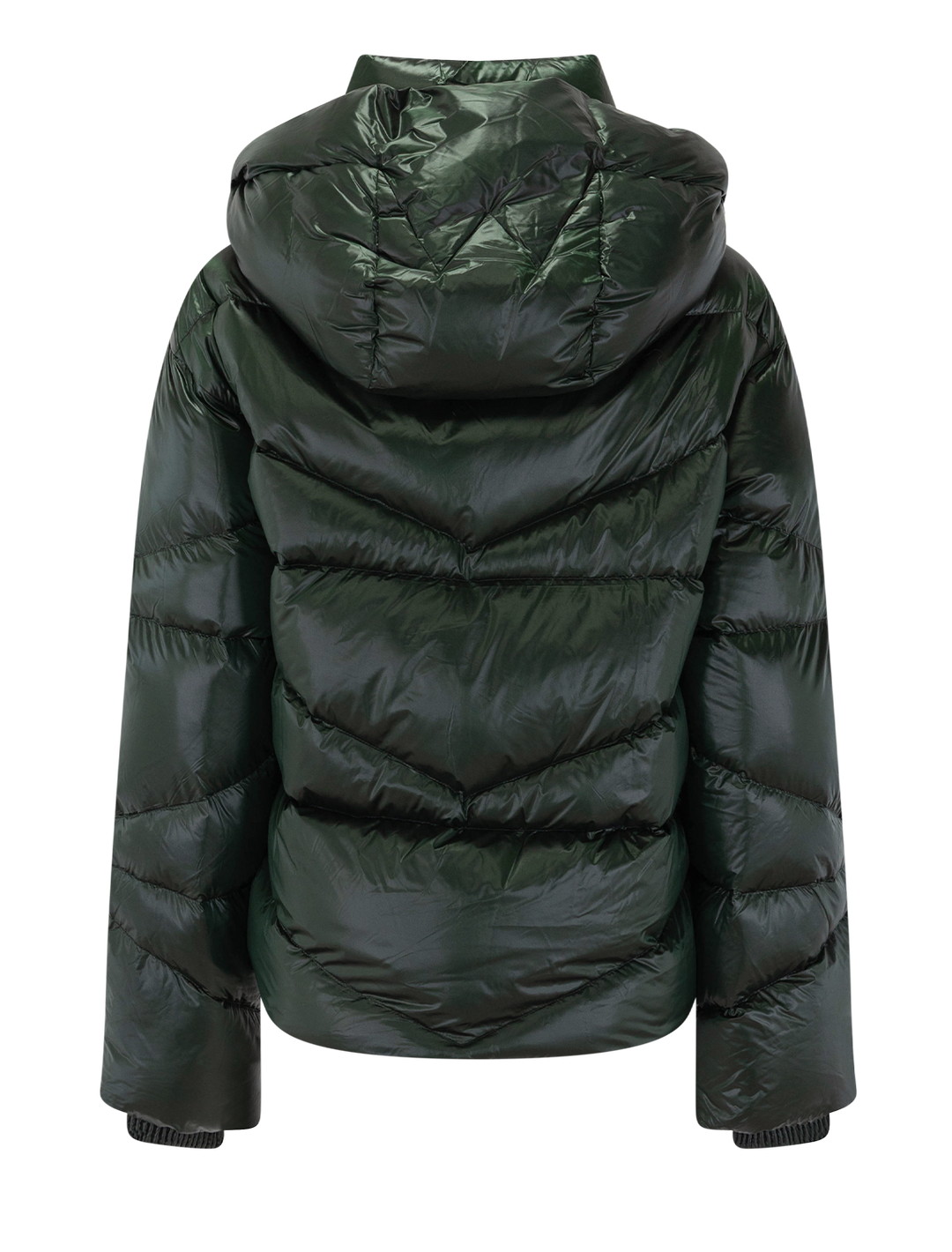 xally coat in pine green