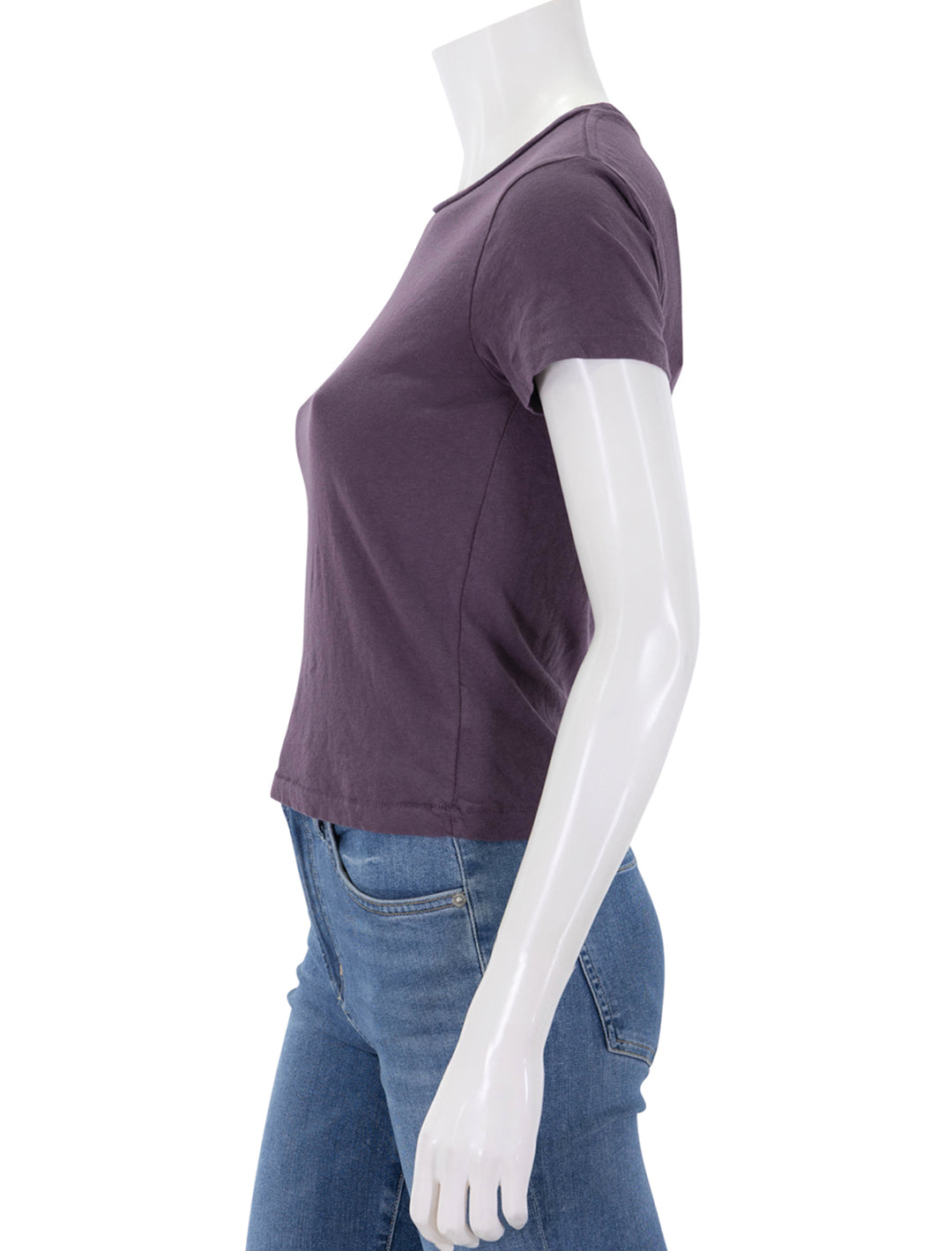 lisa crew tee in plum