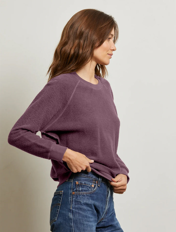 ziggy in plum