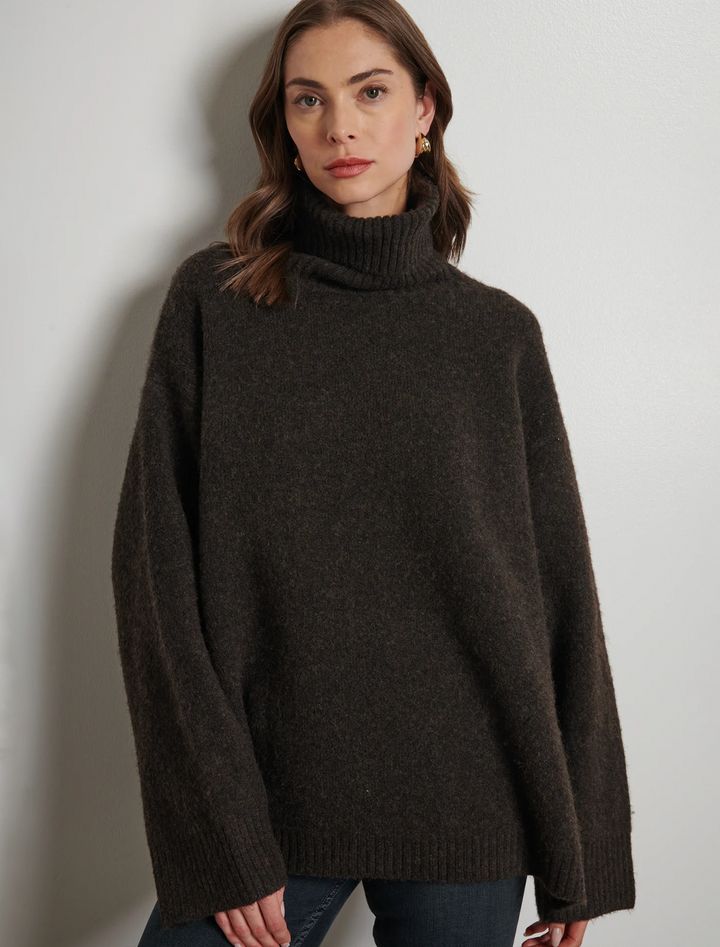 mavis turtleneck in mocha