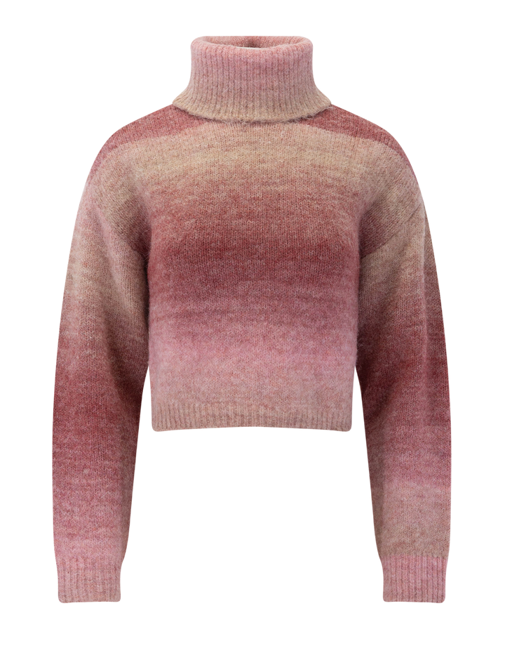 raegann ombre sweater in pink multi
