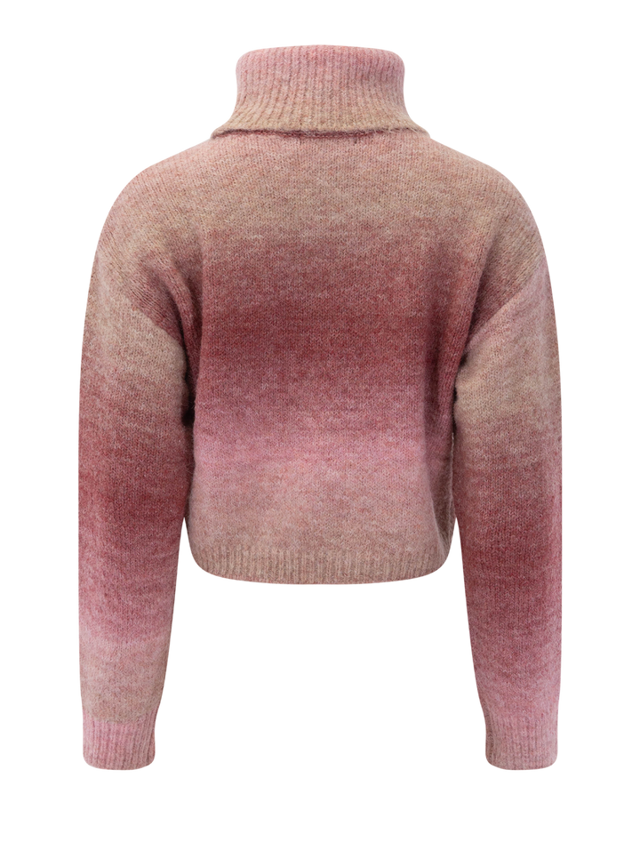 raegann ombre sweater in pink multi