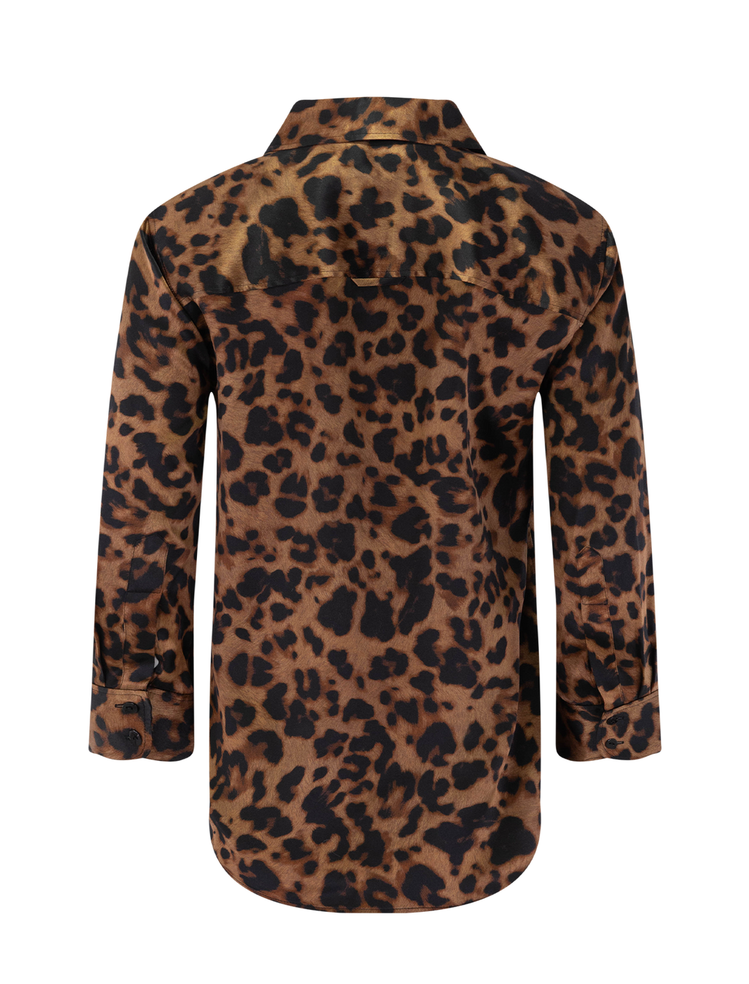 dani in brown leopard