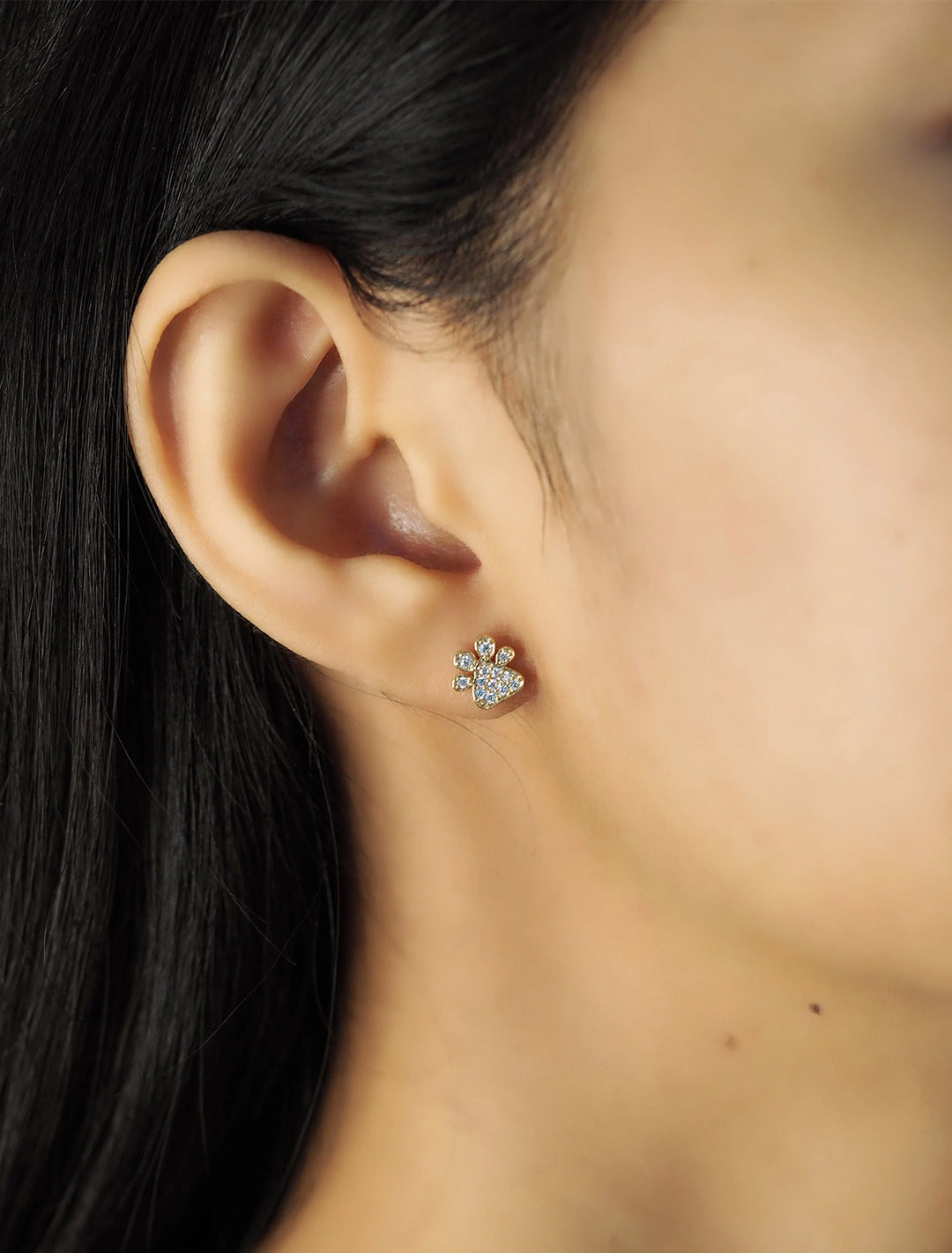 pave paw studs