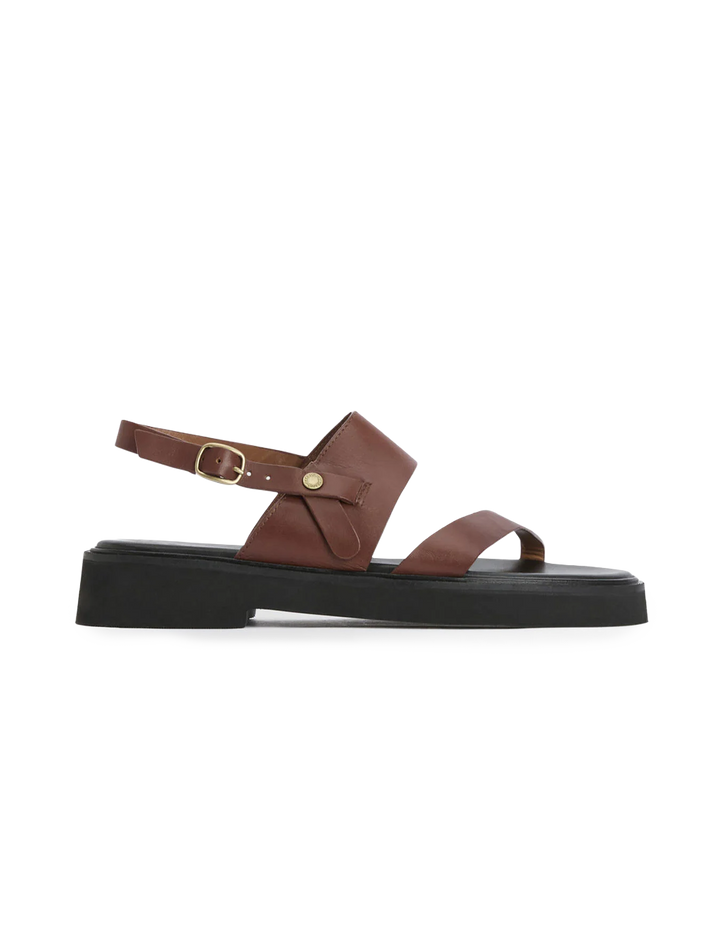 dakota sandal in conker