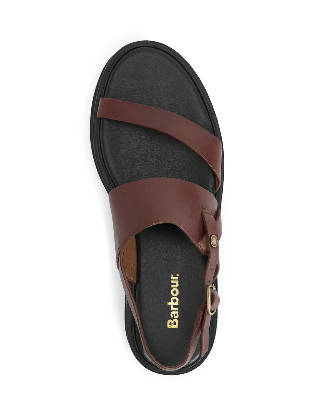 dakota sandal in conker