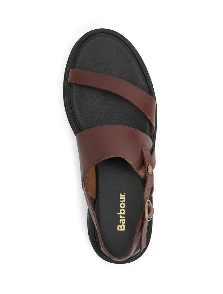 dakota sandal in conker