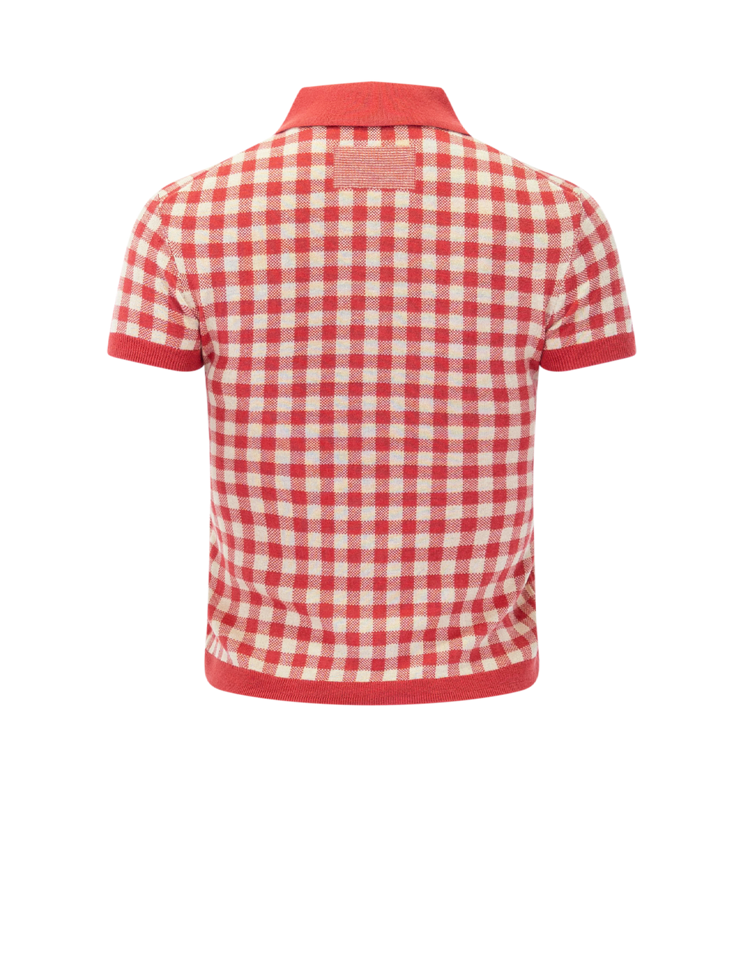gingham polo in scarlet and mist