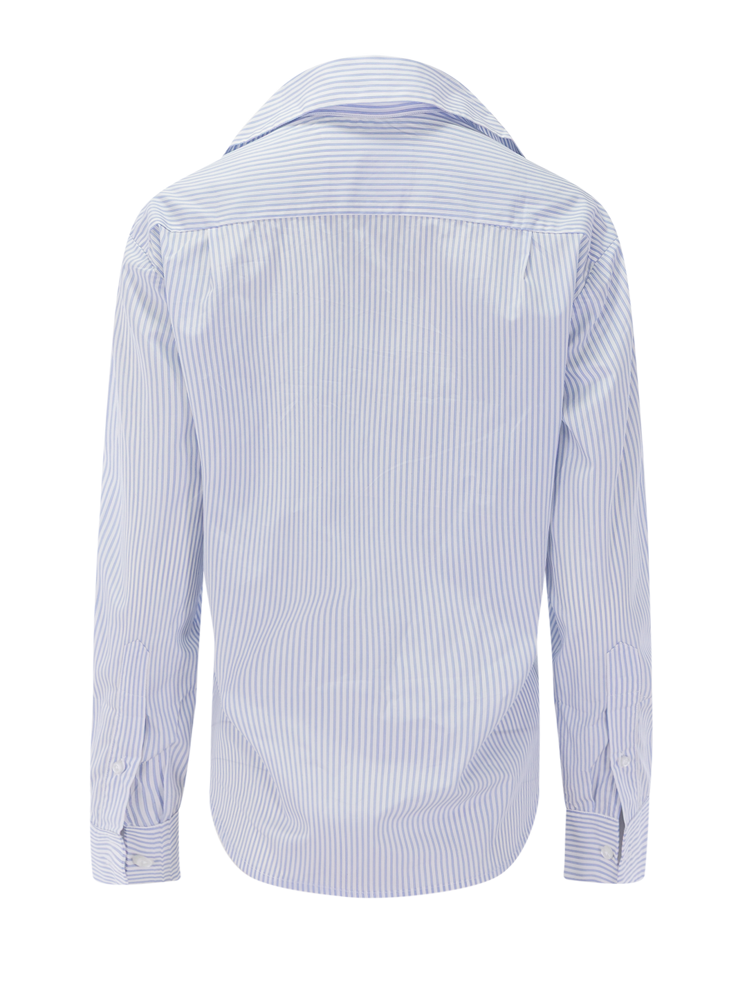the daily shirt in royce stripe