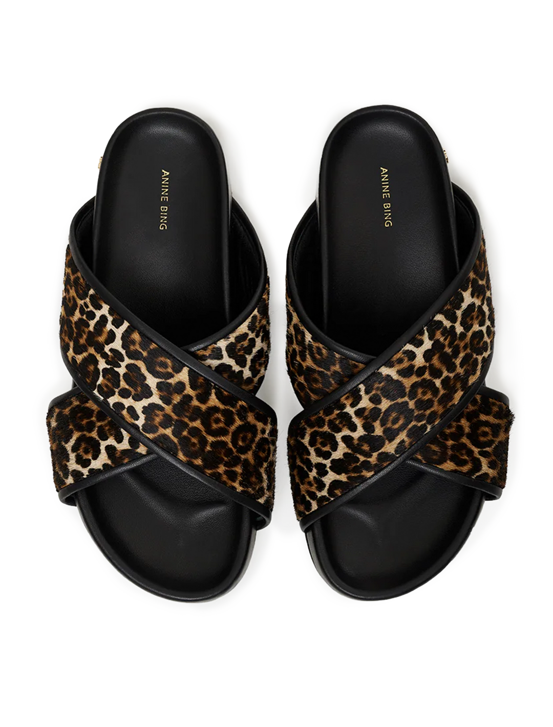 emi slides in leopard