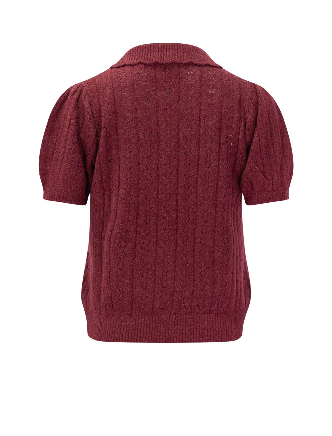 sophie pointelle polo in cabernet