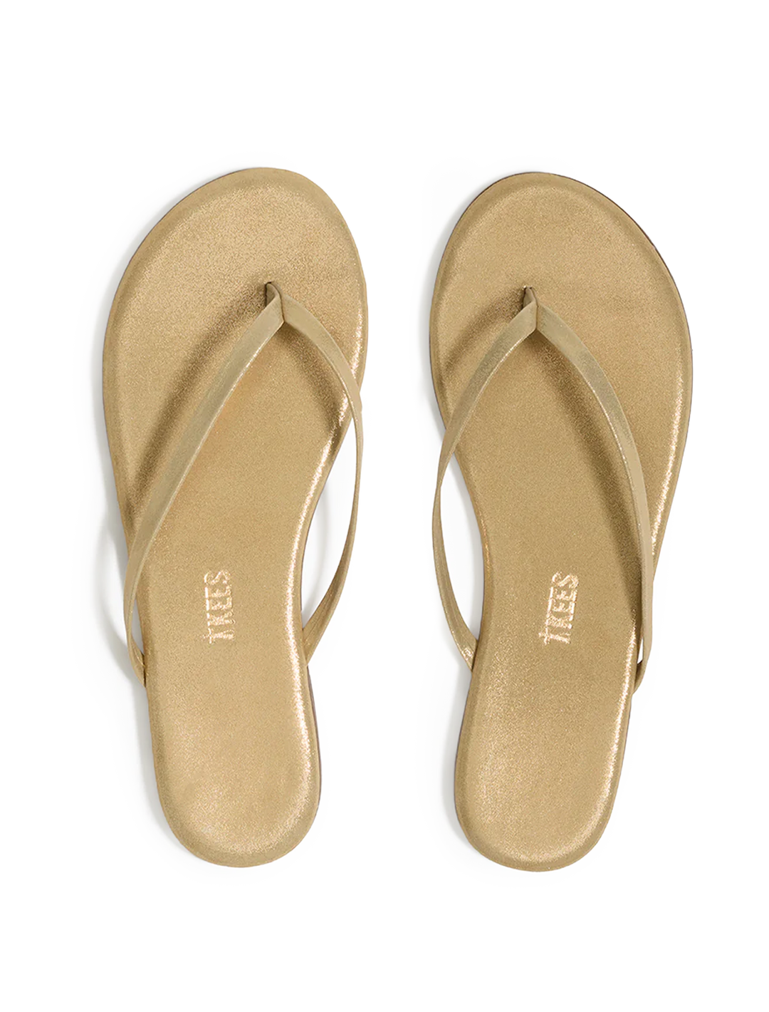 lily in glitter sandbeam