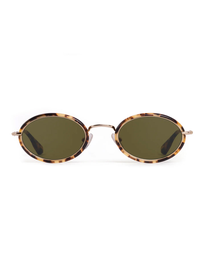kate | 12k + nikko tortoise
