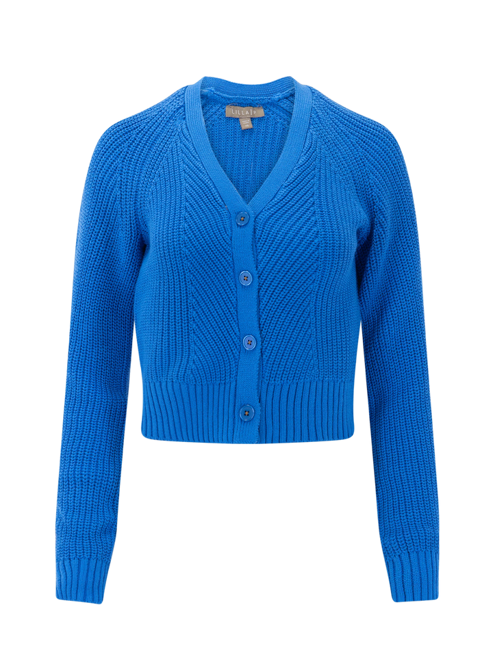 shrunken v-neck cardigan in dutch blue