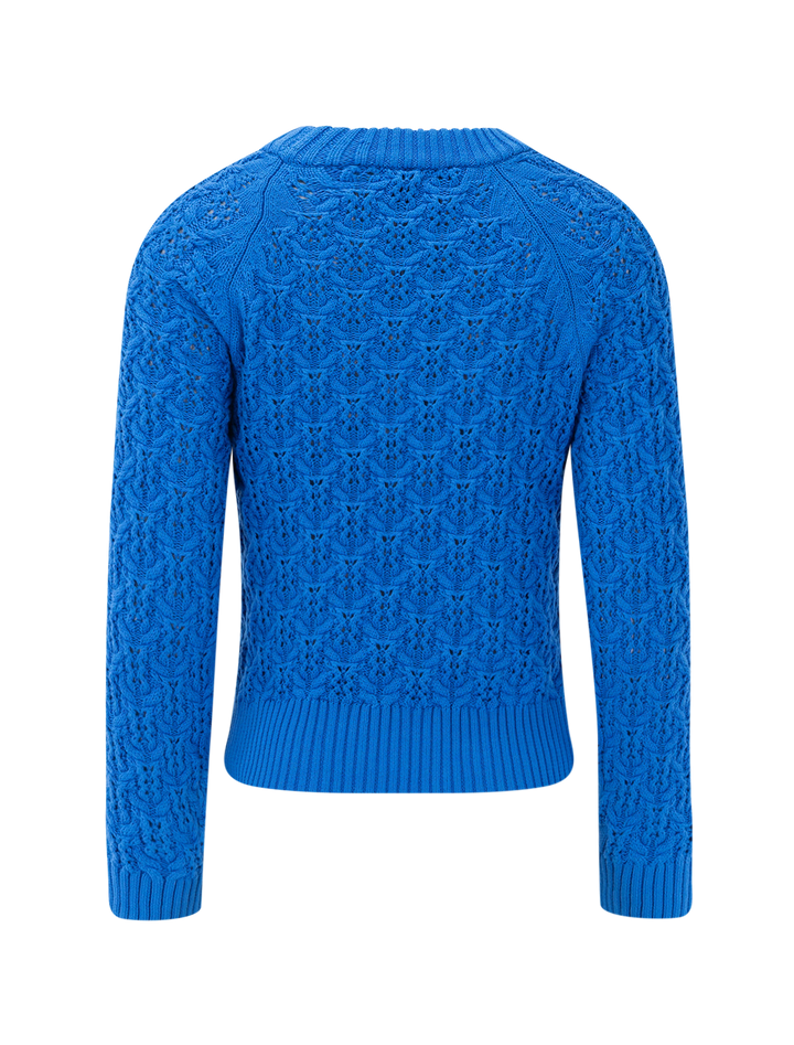 easy sleeve raglan sweater in dutch blue