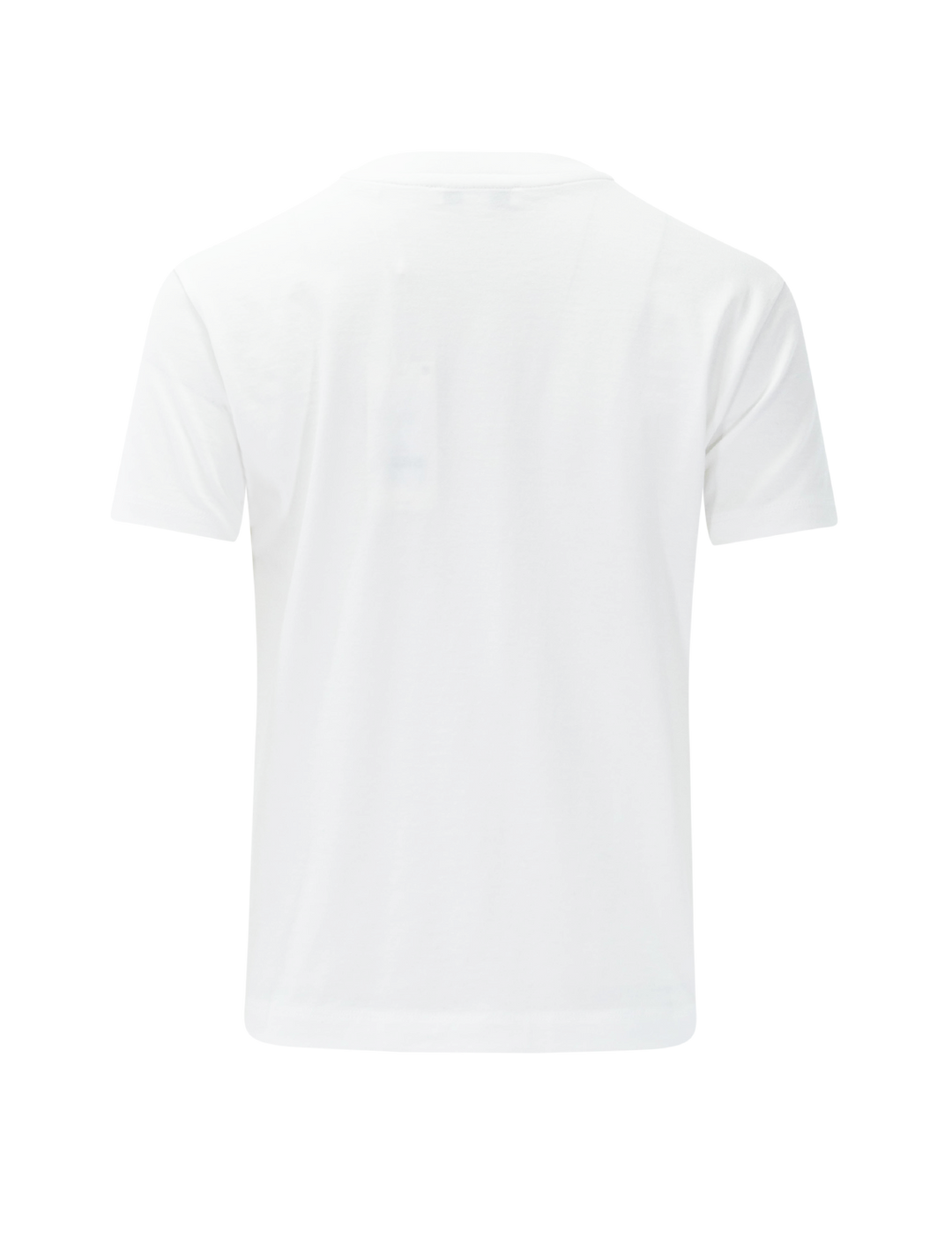pima cotton crew neck t-shirt in optic white
