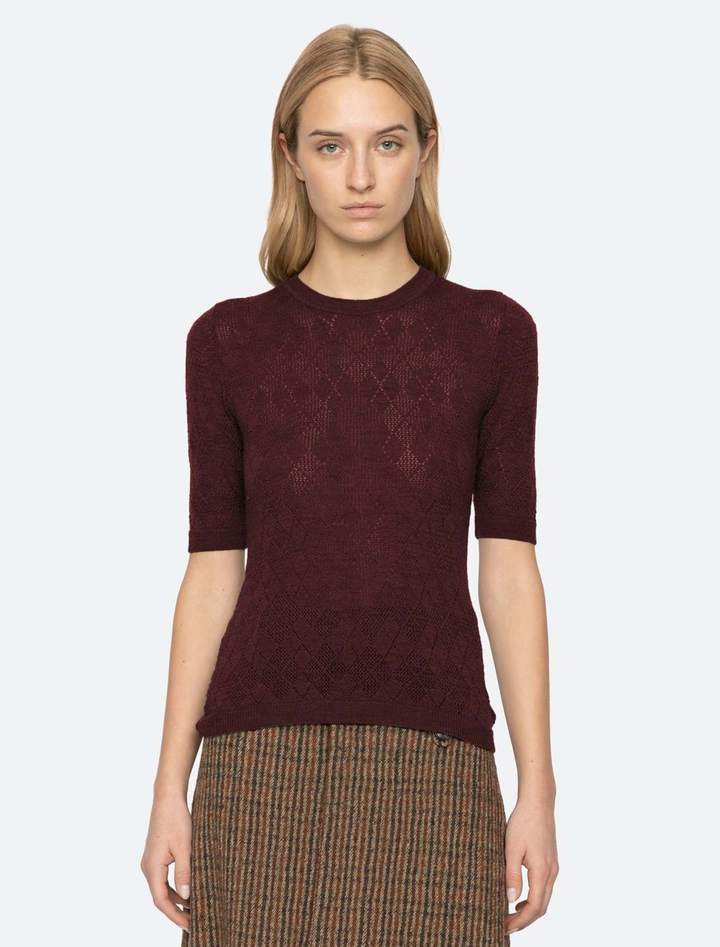 jane argyle sweater tee in burgundy