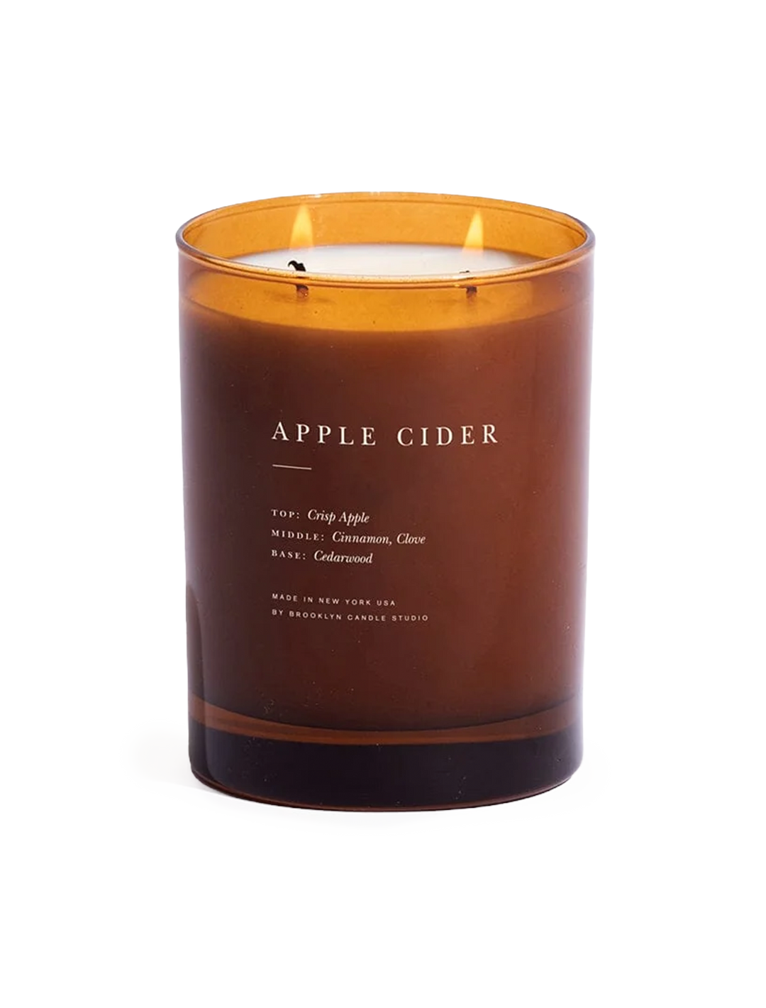 apple cider 2 wick candle