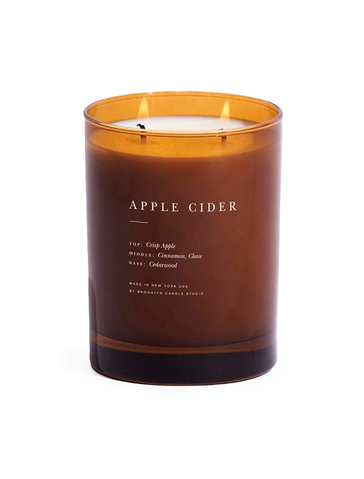 apple cider 2 wick candle