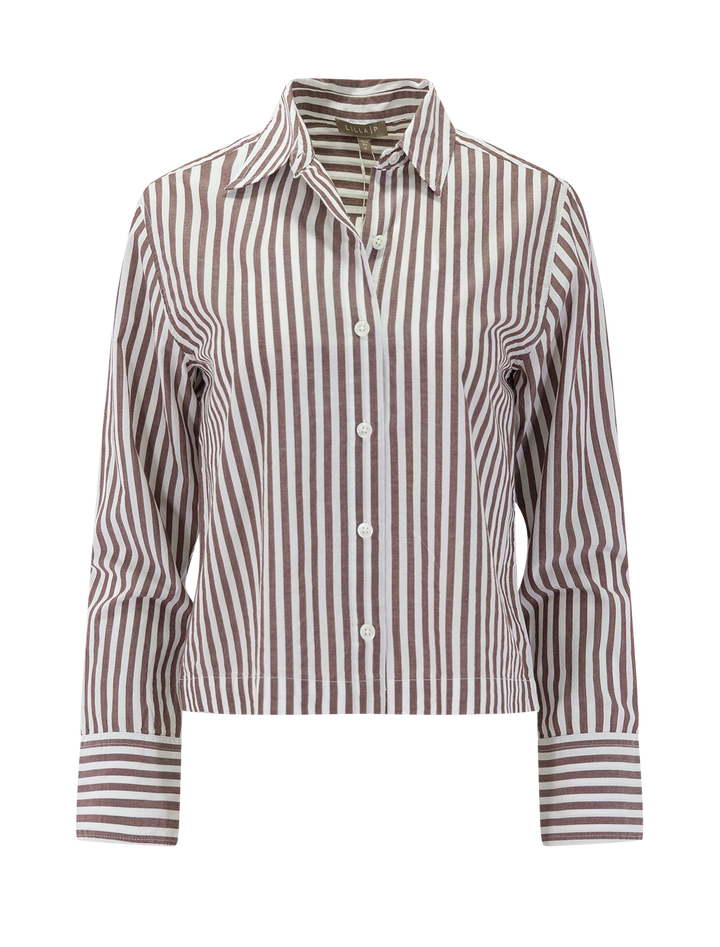 straight fit short button down in chestnut stripe