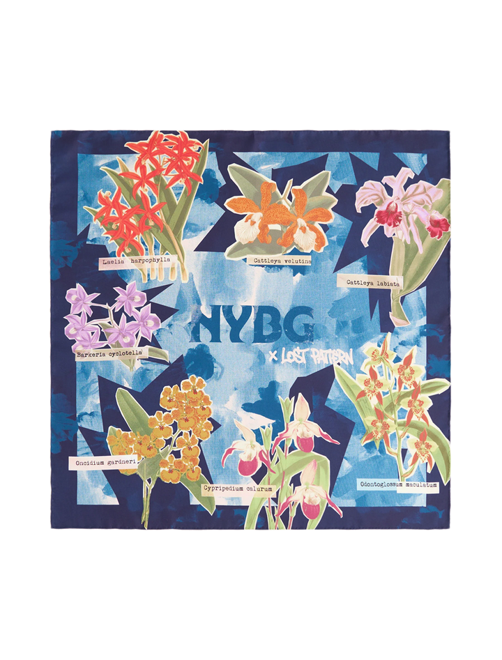 LP + NYBG Orchid on the Block scarf in blue