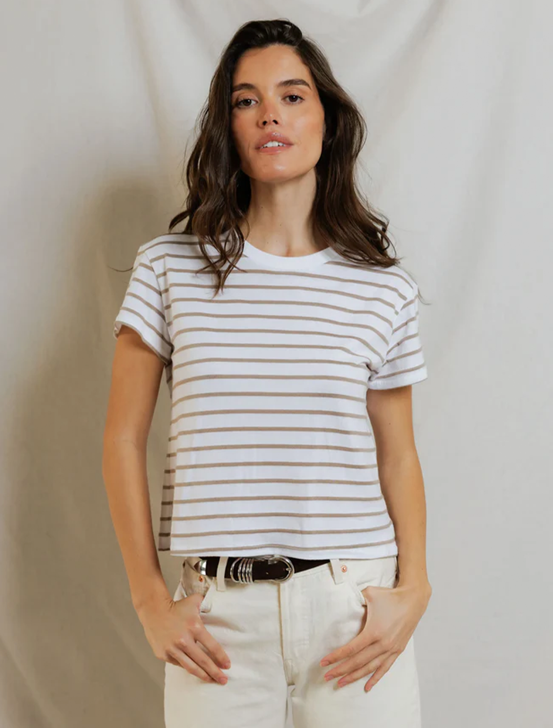 everett crewneck tee in driftwood stripe