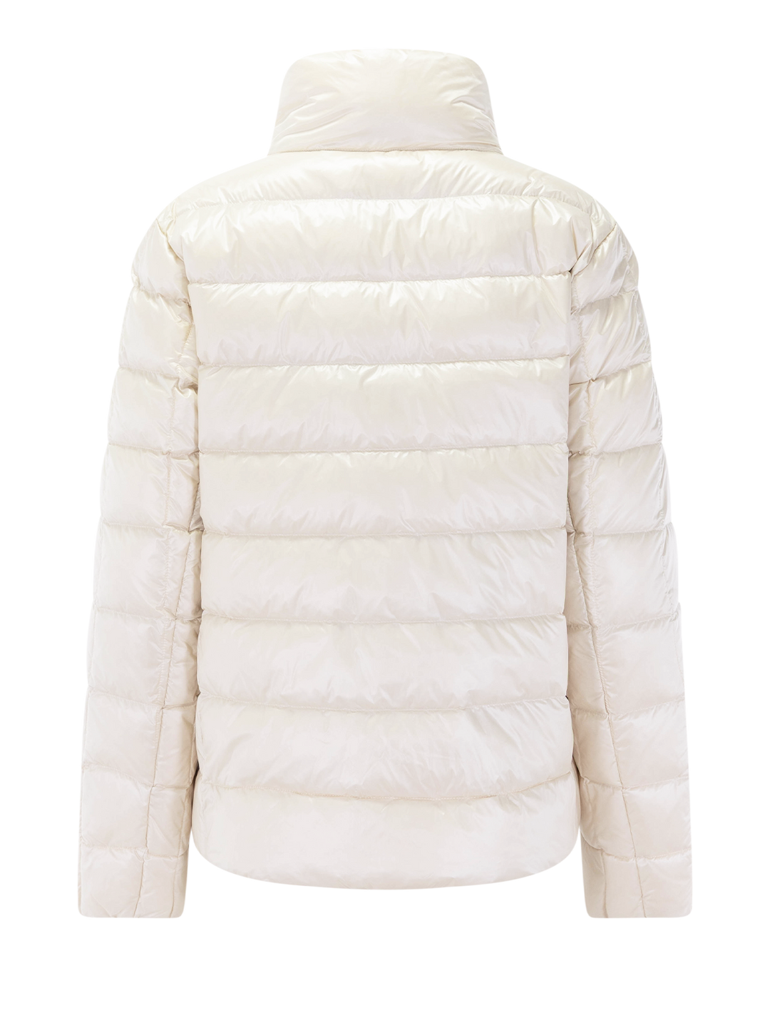 marcy in arctic wolf